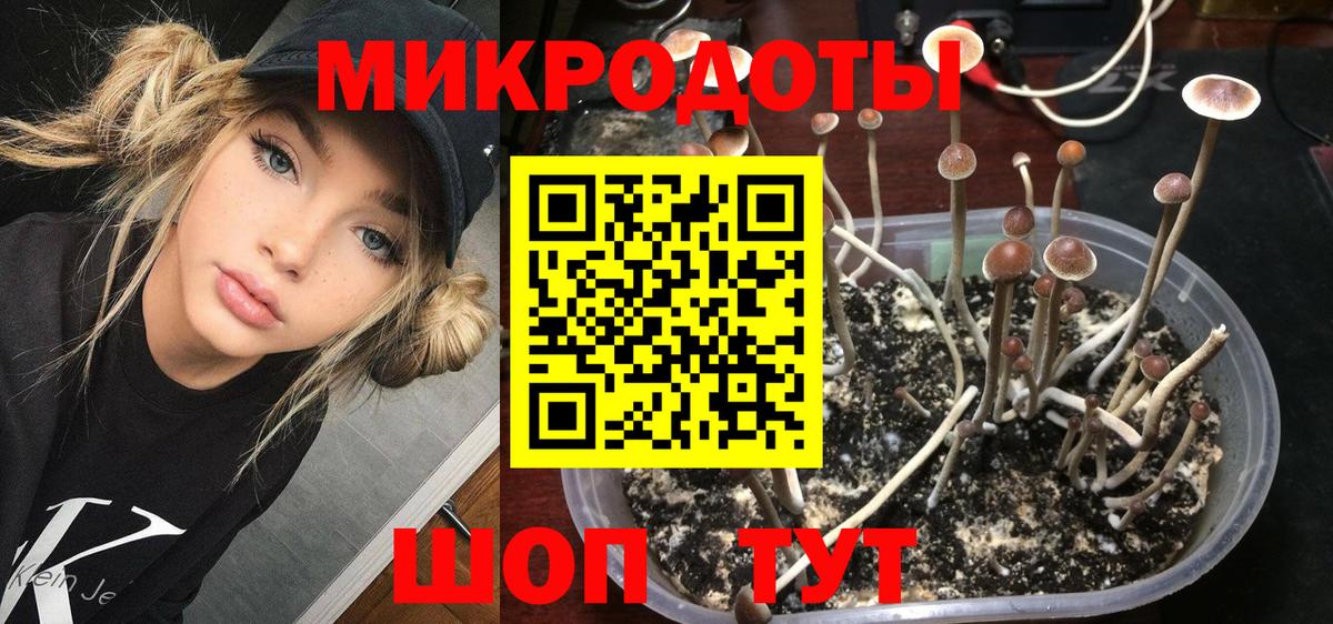 Галлюциногенные грибы GOLDEN TEACHER  Вход с VPN  Благодарный  Галлюциногенные грибы Psilocybe 